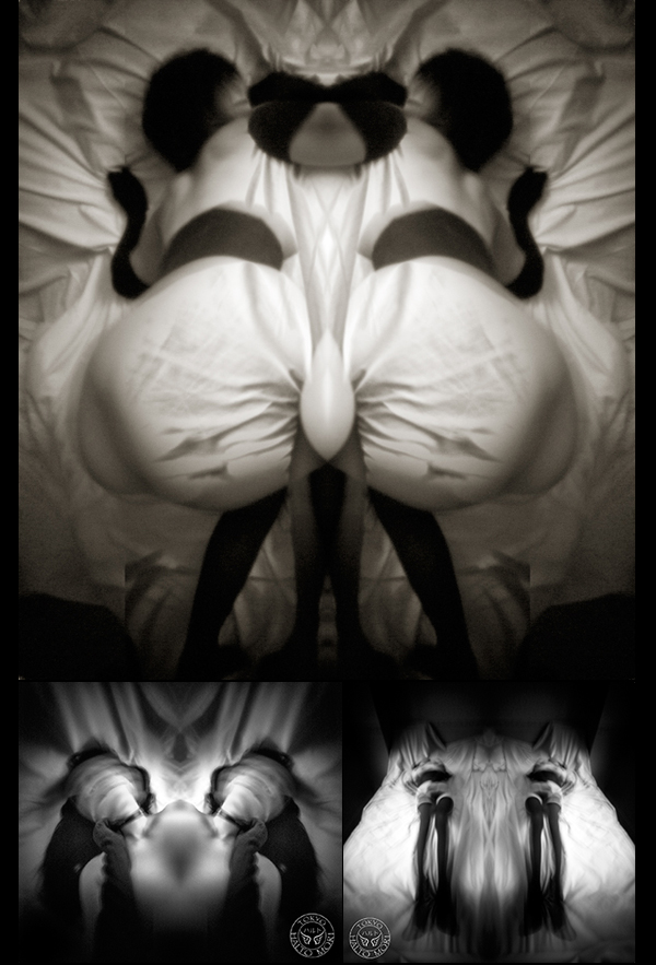 森ハルト展「光、影、天使」