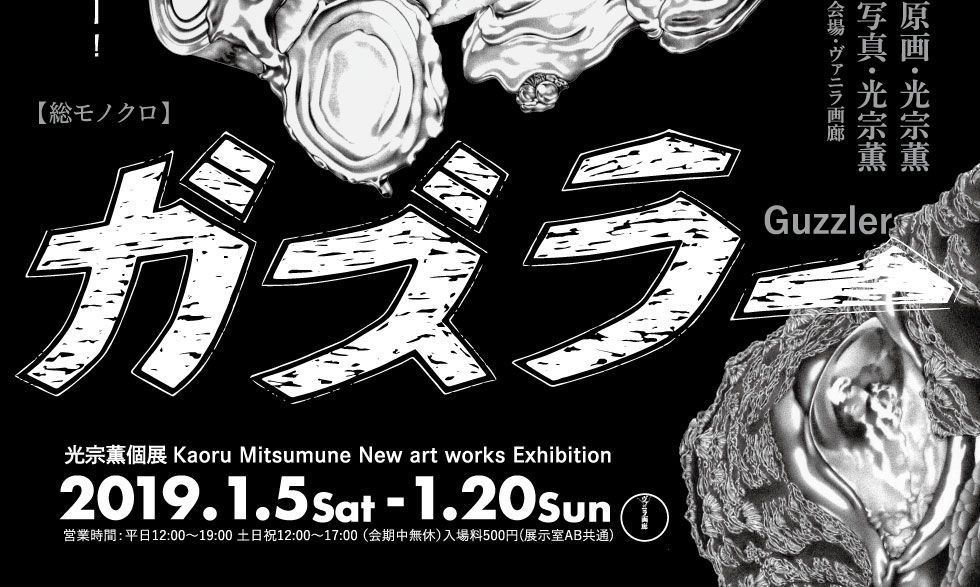 光宗薫 個展「ガズラー」2019年1月5日（土）〜1月20日（日）平日　12:00-19:00 土日祝　12:00-17:00 入場料500円 ヴァニラ画廊展示室AB
