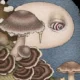 光宗薫個展「せみにんげん」