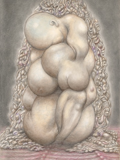 荒井良 平面作品