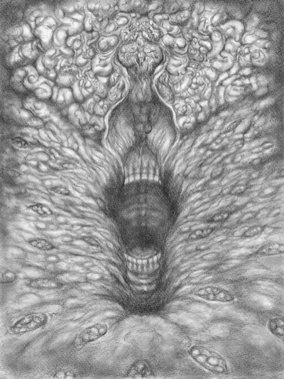 荒井良 平面作品