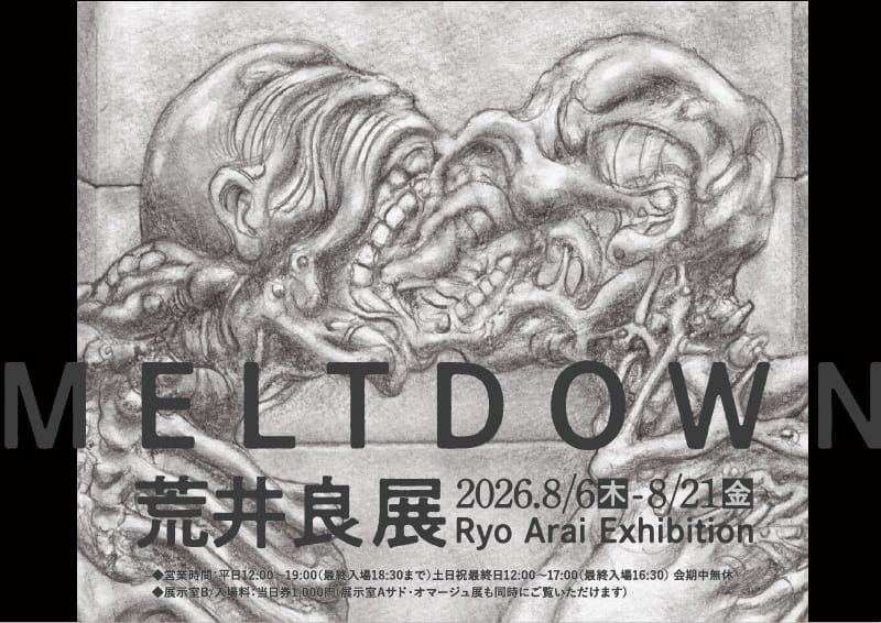 荒井良展「MELTDOWN」