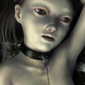 作場知生